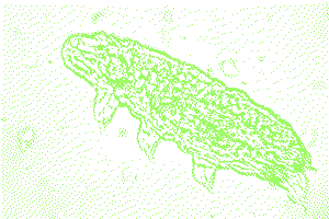 A tardigrade, 1-bit